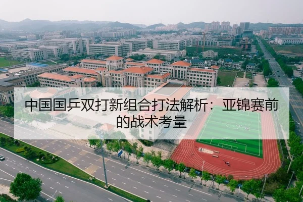 中国国乒双打新组合打法解析：亚锦赛前的战术考量